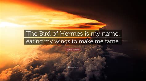 watch hermes bird|the bird of hermes is my name eating wings to make me tame.